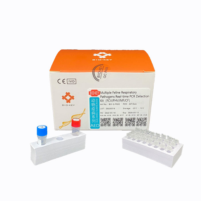 PCR αιλουροειδής Herpesvirus φθορισμός Chlamydia δοκιμής γατών εξαρτήσεων ελέγχων δοκιμής