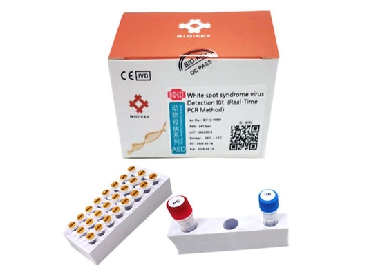 Βάναμεϊ γαρίδες λευκή κηλίδα σύνδρομο ιός WSSV Rapid Test Kit Prawn Baculovirus PCR Kit