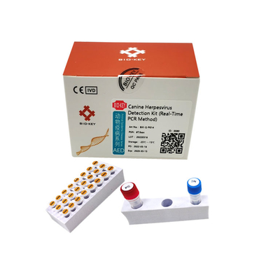 PCR εξαρτήσεων δοκιμής σκυλιών πολυμεράσεων Taq κυνοειδής κυνοειδής φθορισμός δοκιμής ιών έρπη
