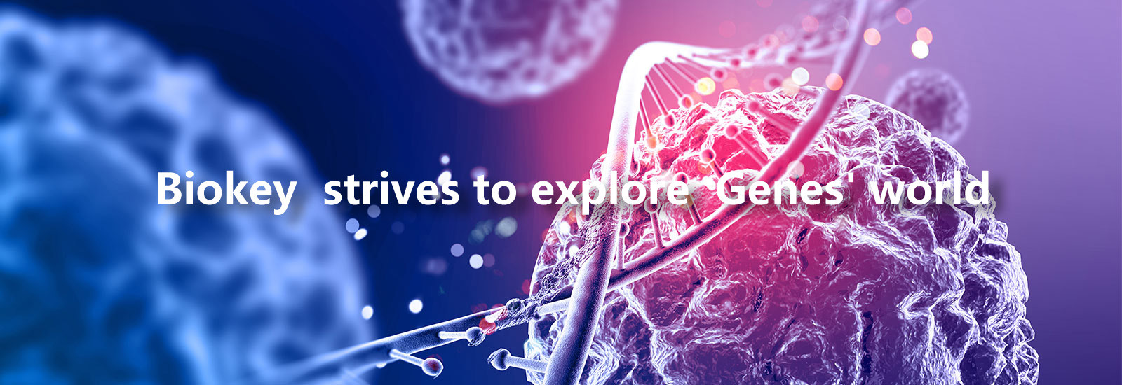 ποιότητας RT qPCR μηχανή εργοστάσιο