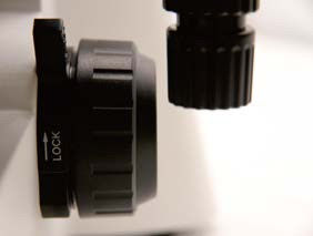 Βιολογικό μικροσκόπιο με εστίαση κατά πλάτος B70F